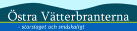 logo-vbrants